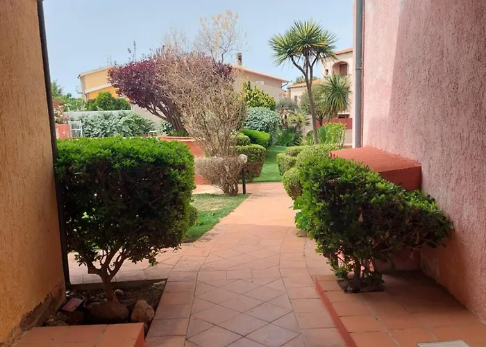 Amicizia * 瓦雷多利亚